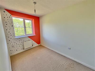 Picture 13